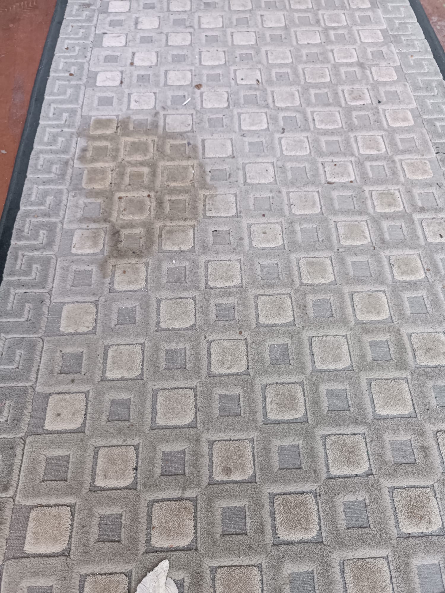 Gri Geometrik Desenli Modern Halı - yıkama öncesi kirli hali